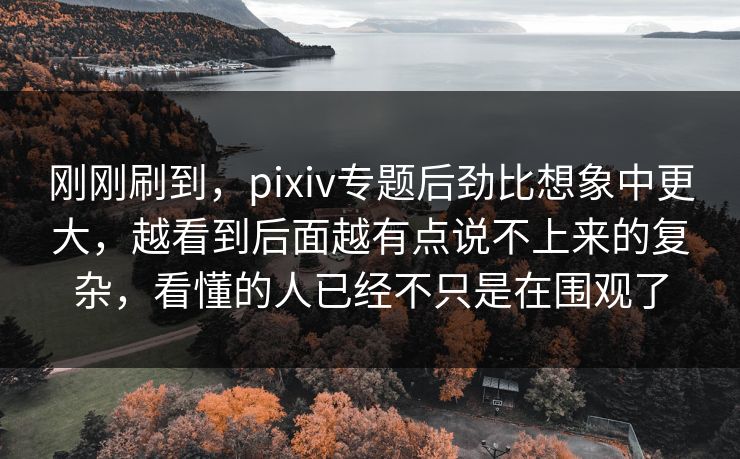 刚刚刷到，pixiv专题后劲比想象中更大，越看到后面越有点说不上来的复杂，看懂的人已经不只是在围观了